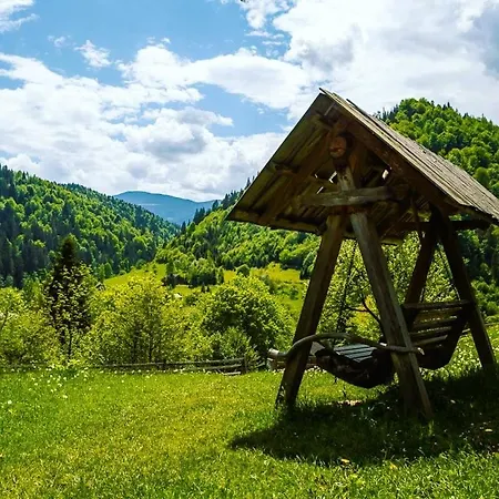 ксенія