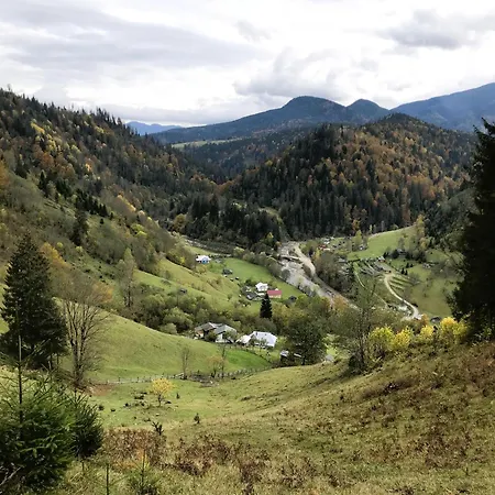 דירה ксенія