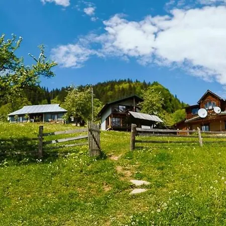 ксенія Lejlighed