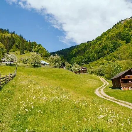 דירה ксенія