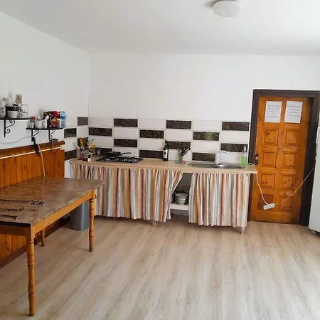 ксенія Apartment Dzembronia