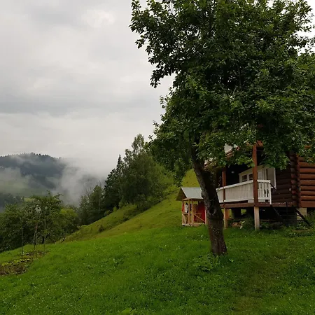 ксенія * Dzembronia