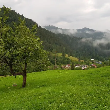 ксенія דזמברוניה