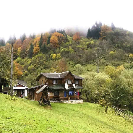 ксенія 公寓 德泽姆布洛尼亚