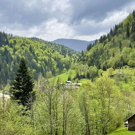 ксенія * Dzembronia