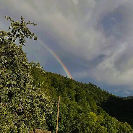 ксенія Lejlighed