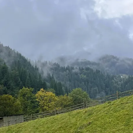 ксенія Lejlighed