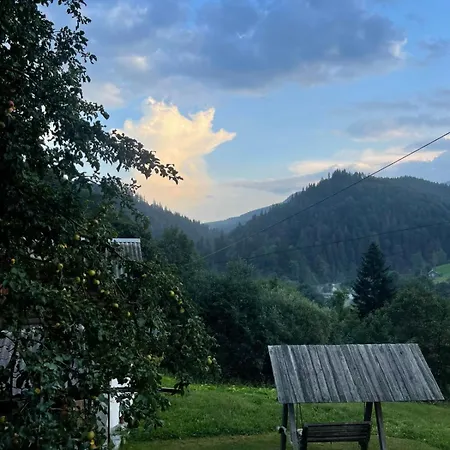 ксенія דירה דזמברוניה