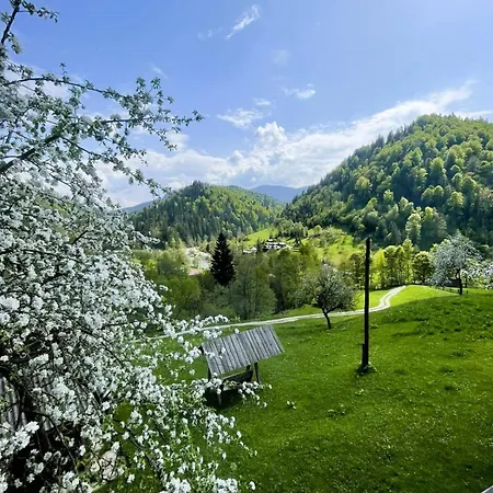 ксенія Apartment