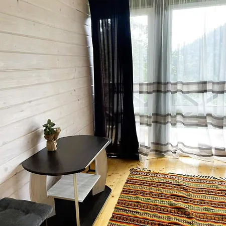 Apartment ксенія Dzembronia