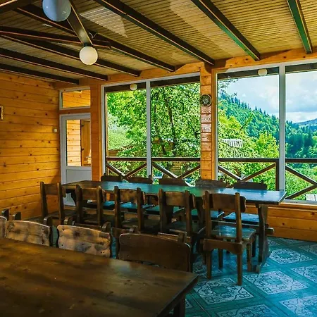 ксенія דזמברוניה