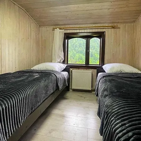 Lejlighed ксенія