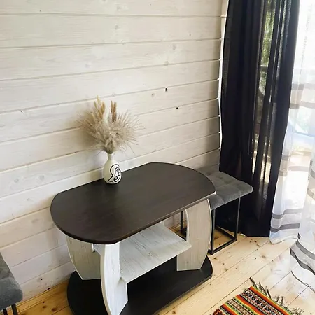 ксенія דזמברוניה