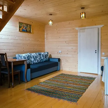 ксенія Apartment Dzembronia