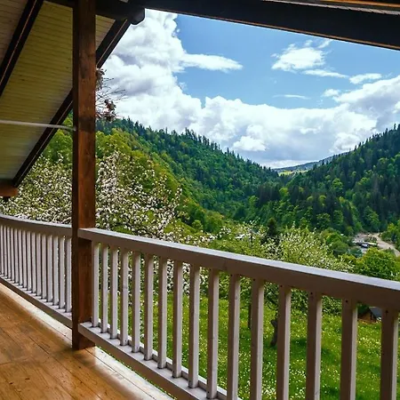 ксенія * Dzembronya