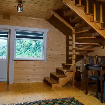 ксенія דזמברוניה