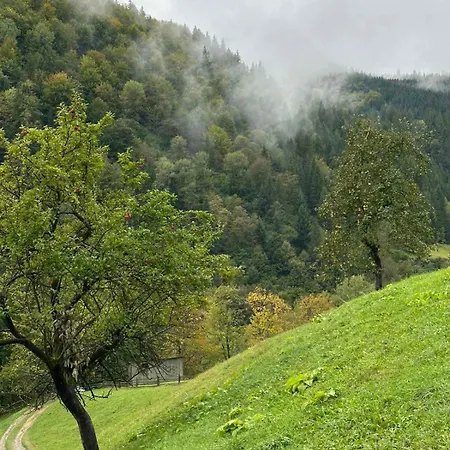 Lejlighed ксенія