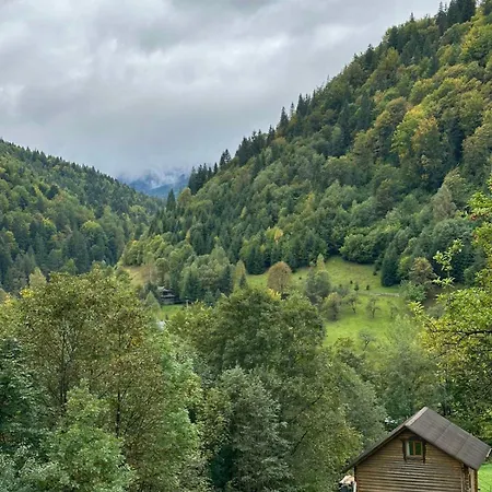 ксенія * Dzembronia