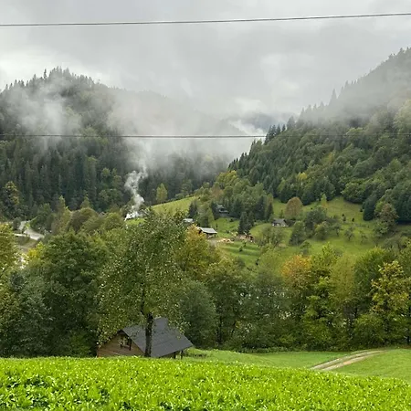 ксенія דירה