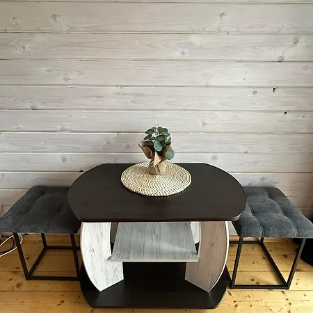 Apartment ксенія Dzembronia