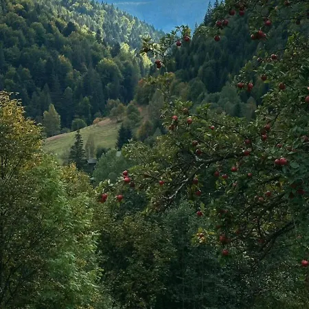 ксенія Апартаменти