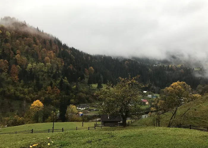 ксенія *