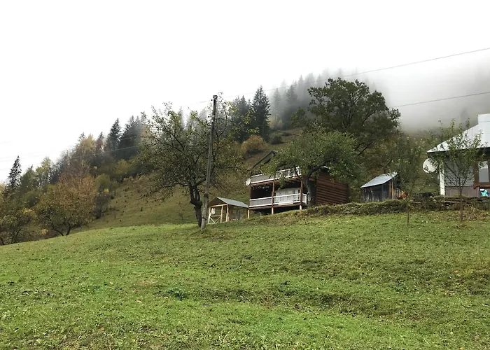 ксенія