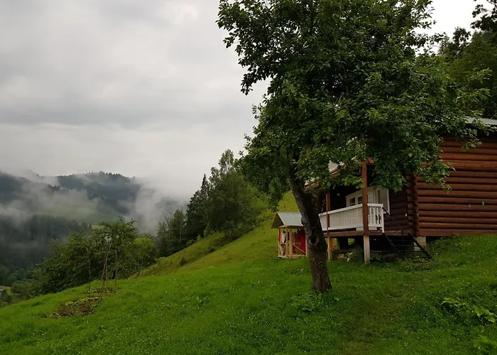 ксенія * Dzembronya