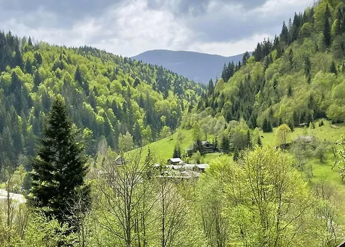 ксенія * Dzembronya