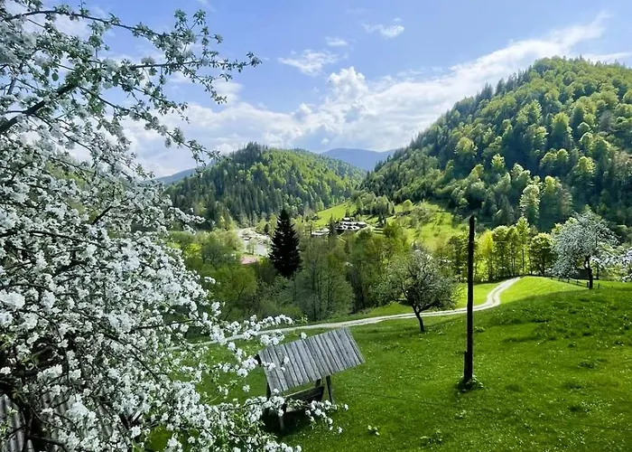 ксенія Apartman