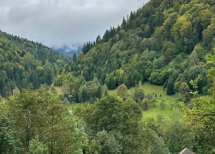 ксенія * Dzembronya